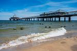 Strand - App. 01 Merilyn - Top-Hundeurlaub