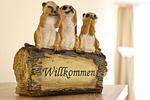 Herzlich Willkommen in der Wohnung Seeufer 605 - Am Seeufer 60 Fewo 605 - Top-Hundeurlaub