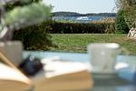 schöner Tagesbeginn - Am Seeufer 59b Fewo 3 - Top-Hundeurlaub
