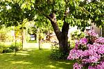Toller Garten im hinteren Bereich der zur Erholung einlädt - Hafenhaus Bootsquartier - Top-Hundeurlaub