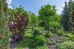 Toller Garten im hinteren Bereich der zur Erholung einlädt - Hafenhaus Bootsquartier - Top-Hundeurlaub