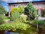 im großzügigen Garten mit Teich - Feldsteinscheune Kaeselin - Top-Hundeurlaub