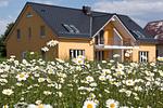 Blick vom Haus auf eine Blumenwiese - Mirabelle App. 01 EG/L - Top-Hundeurlaub