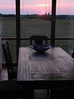 Blick auf die Terrasse - Albatros App. 02 EG/R - Top-Hundeurlaub