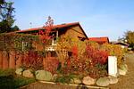 auch im Herbst ein Besuch wert - Ferienhaus Jabel 29 - Top-Hundeurlaub
