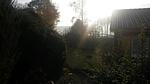 Herbstsonne am Haus - Ferienhaus Jabel 24 - Top-Hundeurlaub