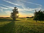 Sonnenuntergang - Fair-Play App. 01 EG/L - Top-Hundeurlaub