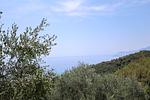 Casa Beatrice - Top-Hundeurlaub