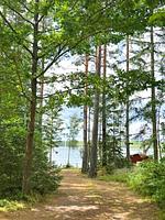 Stuga Gösjön - Top-Hundeurlaub