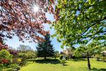 schöner Garten - Die Jagdhütte - Top-Hundeurlaub