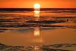Strand - NA34 - Top-Hundeurlaub