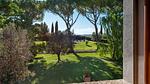 view-from-room - Ferienwohnung für 6 Personen (70 m²) in Roccastrada - Top-Hundeurlaub