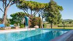 pool - Ferienwohnung für 6 Personen (70 m²) in Roccastrada - Top-Hundeurlaub