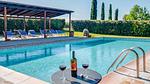 pool - Ferienwohnung für 6 Personen (70 m²) in Roccastrada - Top-Hundeurlaub
