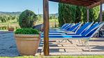 pool - Ferienwohnung für 6 Personen (70 m²) in Roccastrada - Top-Hundeurlaub