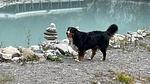 Ferienwohnung für 2 Personen (31 m²) in Nauders - Top-Hundeurlaub