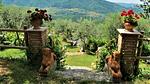 exterior - Ferienhaus für 4 Personen (65 m²) in San Polo in Chianti - Top-Hundeurlaub
