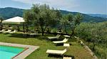 exterior - Ferienhaus für 4 Personen (65 m²) in San Polo in Chianti - Top-Hundeurlaub