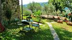 garden - Ferienhaus für 4 Personen (65 m²) in San Polo in Chianti - Top-Hundeurlaub