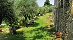 exterior - Ferienhaus für 4 Personen (65 m²) in San Polo in Chianti - Top-Hundeurlaub