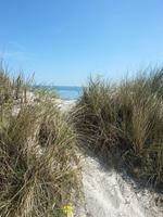 Strand - Ferienwohnung Nordstern - Schönberger Strand - Top-Hundeurlaub