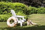 Garten - Weberkate - Top-Hundeurlaub
