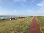 Landschaft - Freundliche Ferienwohnung direkt hinter dem Deich - Top-Hundeurlaub