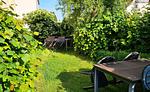 Nordwind - Top-Hundeurlaub