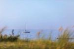 Ferienwohnung Strandlaeufer Ostseebad Wustrow ZweiWasser Alte Seefahrtschule Sonnenstunden am Wasser - Strandlaeufer - Top-Hundeurlaub