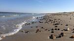 beach - Ferienhaus für 26 Personen (250 m²) - Top-Hundeurlaub