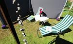 Garten - Familienwohnung - Top-Hundeurlaub