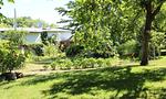Garten - Familienwohnung - Top-Hundeurlaub