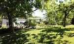 Garten - Familienwohnung - Top-Hundeurlaub