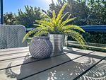 Balkon mit Dekoratives Detail - Wohnung 42 - Top-Hundeurlaub