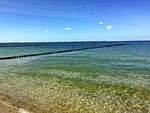 Strand - Heimathafen - Top-Hundeurlaub