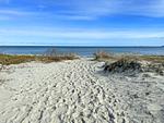 Strand - Elian - Top-Hundeurlaub