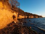 Strand - Hummer - Top-Hundeurlaub