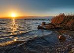 Strand - Hummer - Top-Hundeurlaub