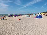 Strand - Hummer - Top-Hundeurlaub