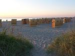 Strand - Hummer - Top-Hundeurlaub