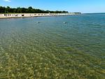 Strand - Hummer - Top-Hundeurlaub