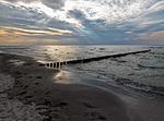 Strand - Hummer - Top-Hundeurlaub