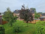 Ferienwohnung Leuchtturm Norddeich - Top-Hundeurlaub