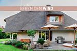 Vogelperspektive - Gegen den Wind - Top-Hundeurlaub