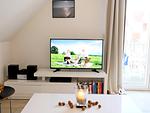 TV / Multimedia - Dünengrund 3, Whg. 6 - Top-Hundeurlaub