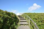 Strand - Dünengrund 3, Whg. 6 - Top-Hundeurlaub