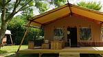 Untagged - Ferienhaus für 5 Personen (50 m²) in Nunspeet - Top-Hundeurlaub