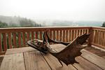 Terrasse - Romantikhütte Rothaarsteig - Top-Hundeurlaub