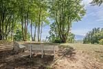 Landschaft - Ferienhaus Baltic Huus mit Sauna, Kamin und Sonnenterrasse - Top-Hundeurlaub