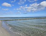 Buchenhof 6a (Typ III) - Top-Hundeurlaub